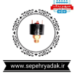 پرشر سوئیچ آب رزوه ای عمومی