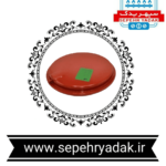 منبع انبساط ویزمن شرکتی