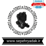 هیدروبلوک چپ آریستون
