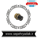 کلگی ایرونت باکسی برنجی