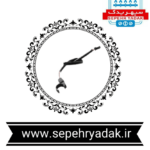 سنسور انگشتی کابل دار